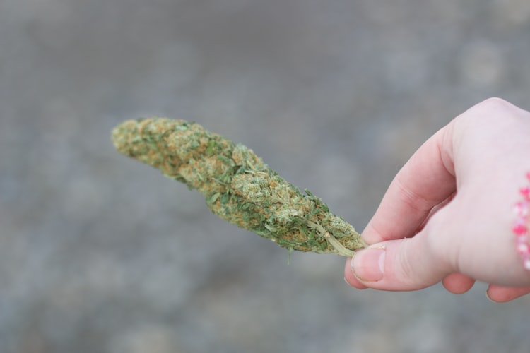 Blue Dream