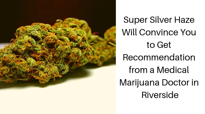 Super Silver Haze Will Convince You to Get Recommendation from a Medical Marijuana Doctor