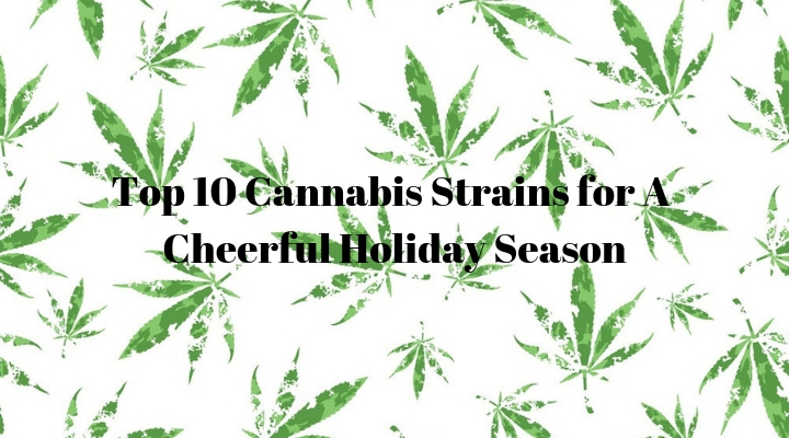 Top 10 Cannabis Strains for A Cheerful Holiday Season