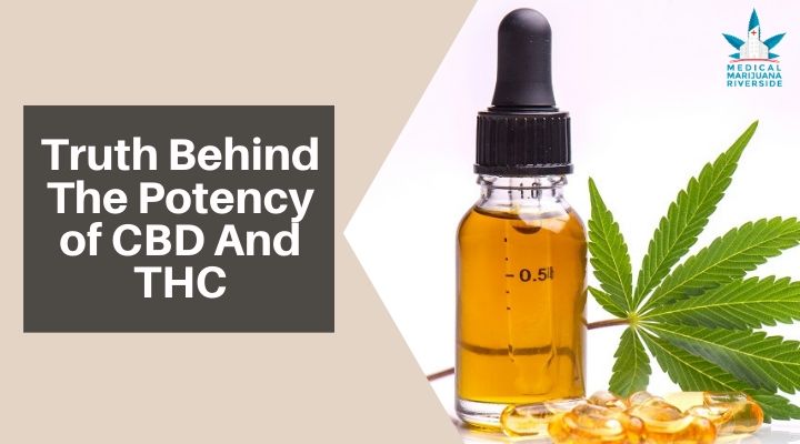 Uncovering the Truth Behind The Potency of CBD And THC